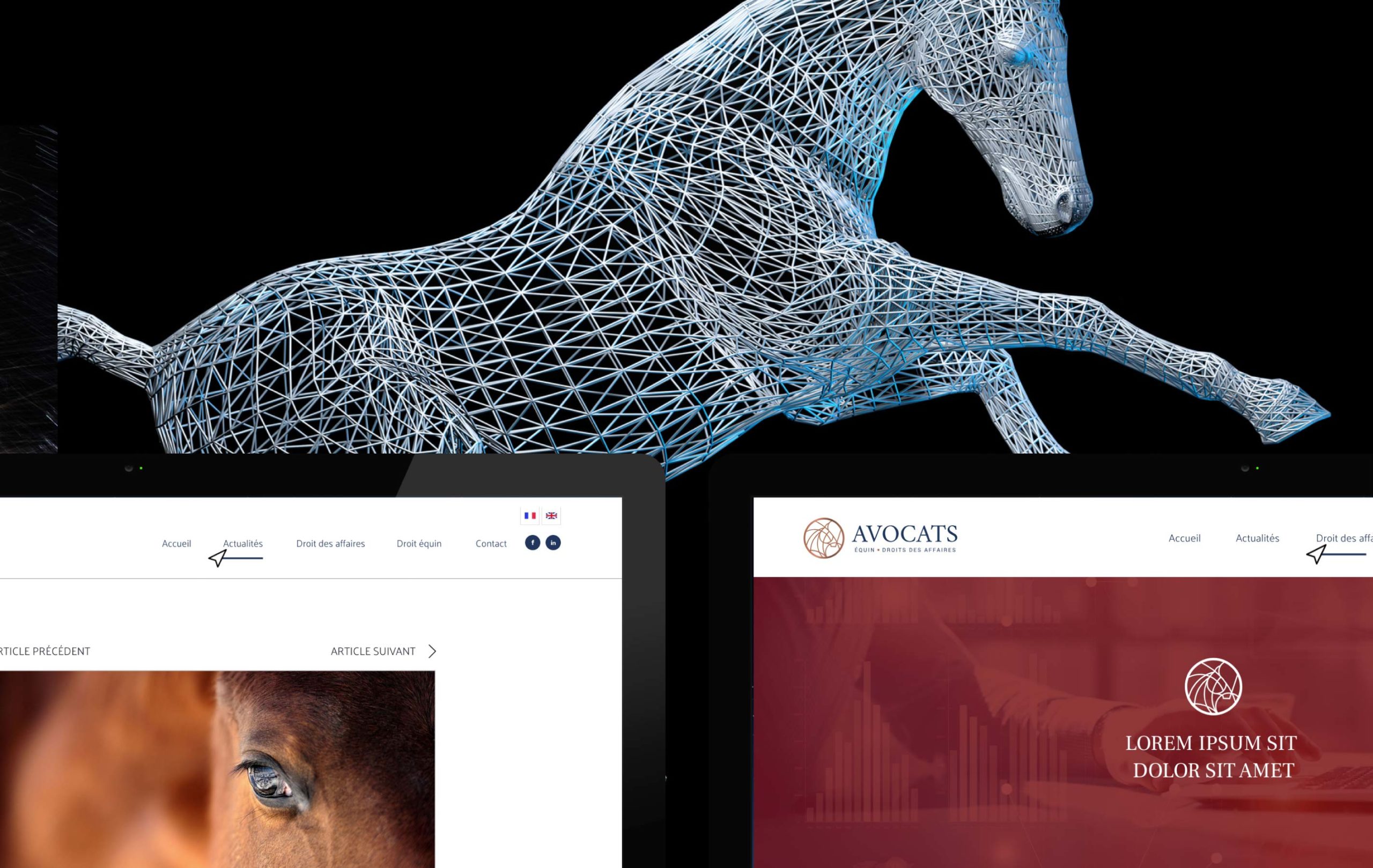 equ-hip-avocat20200324175301image_projet_2