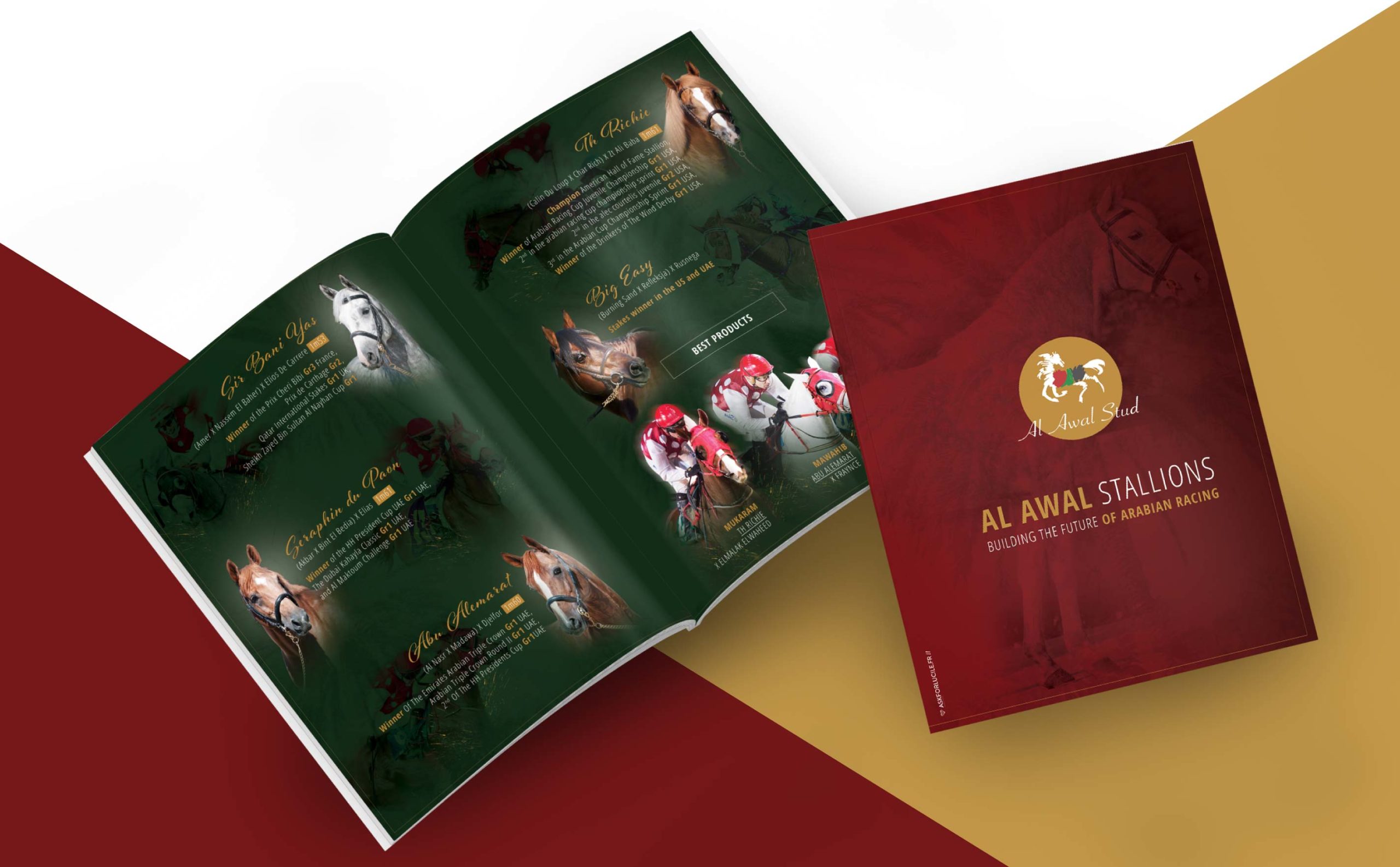 al-awal-stud20200614181853image_projet_2