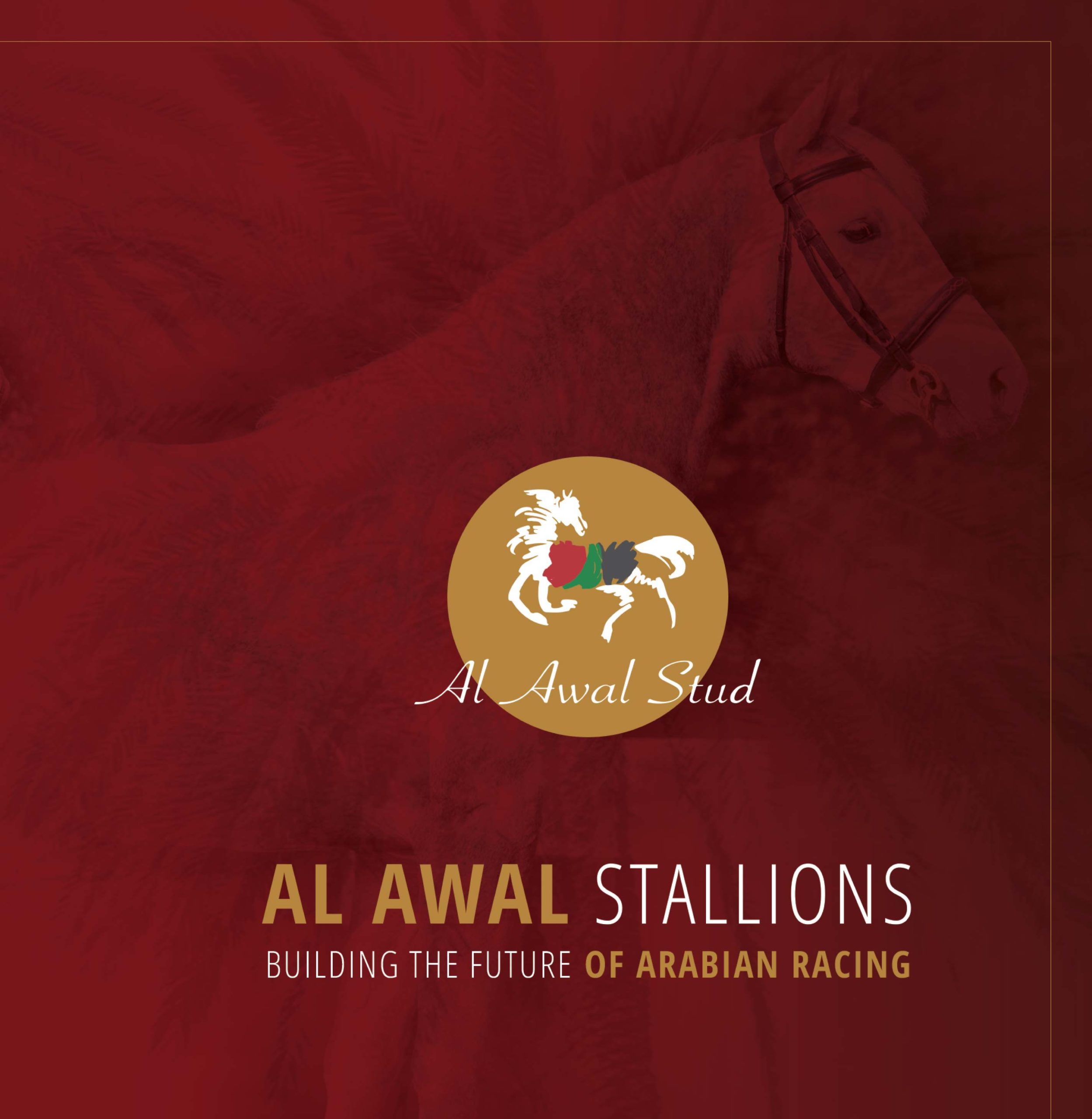al-awal-stud20200614181853image_projet_5