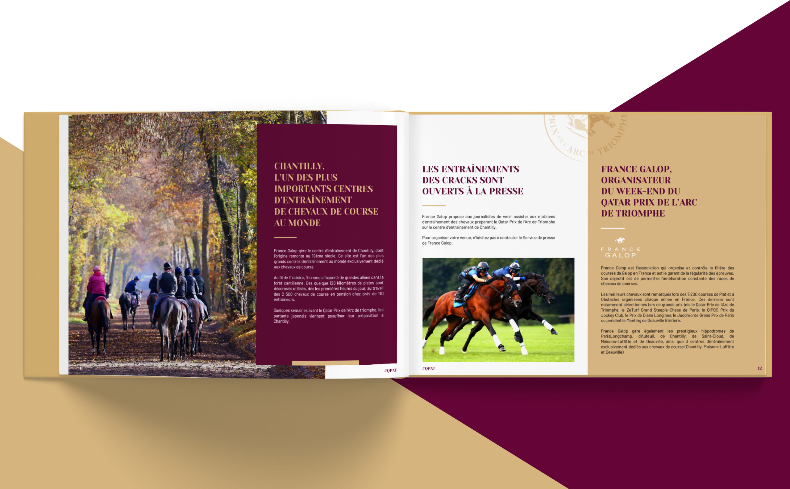 qatar-prix-arc-de-triomphe20200613180407image_projet_5