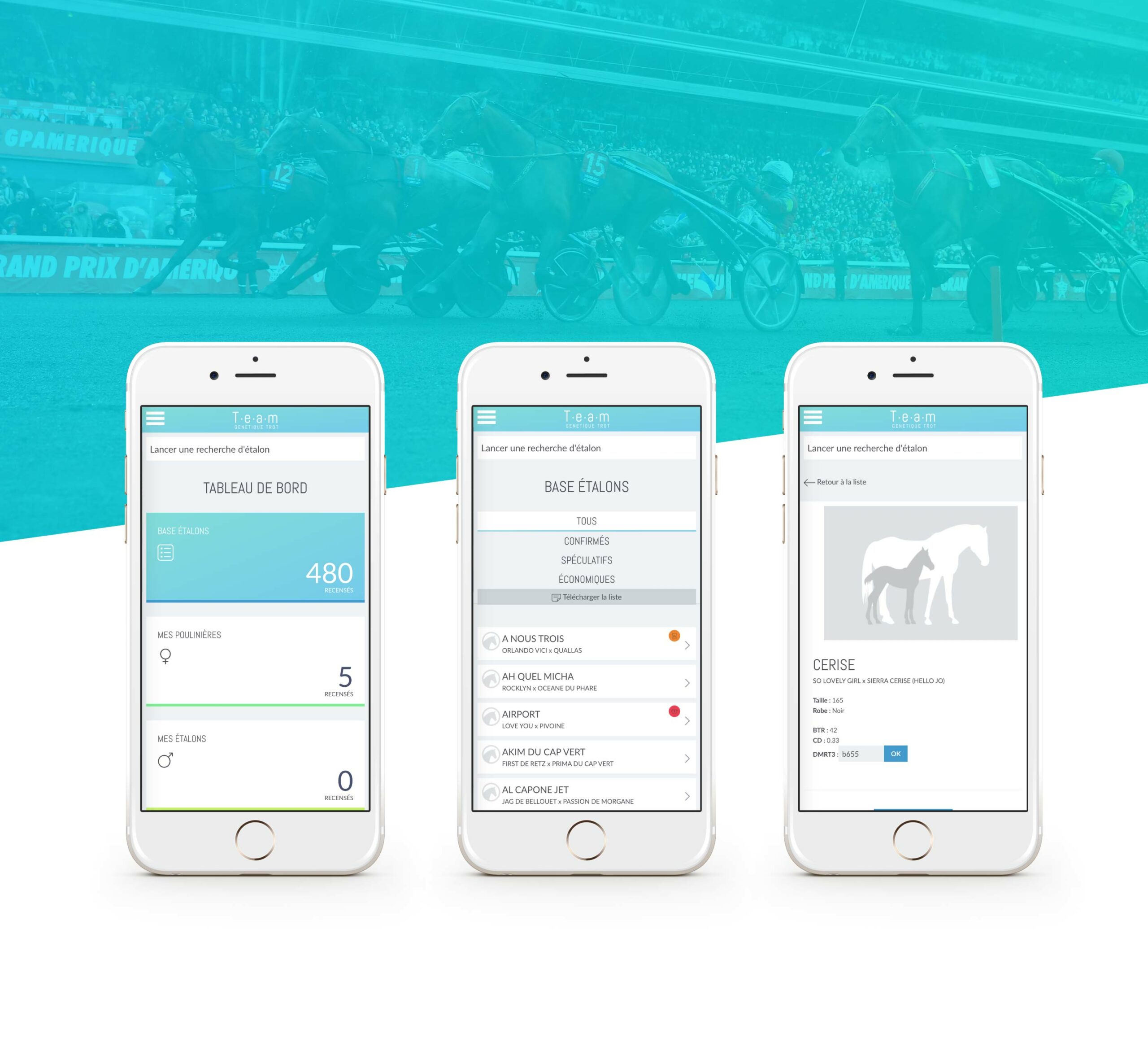 200323-site-team_Plan de travail 1 copie 2