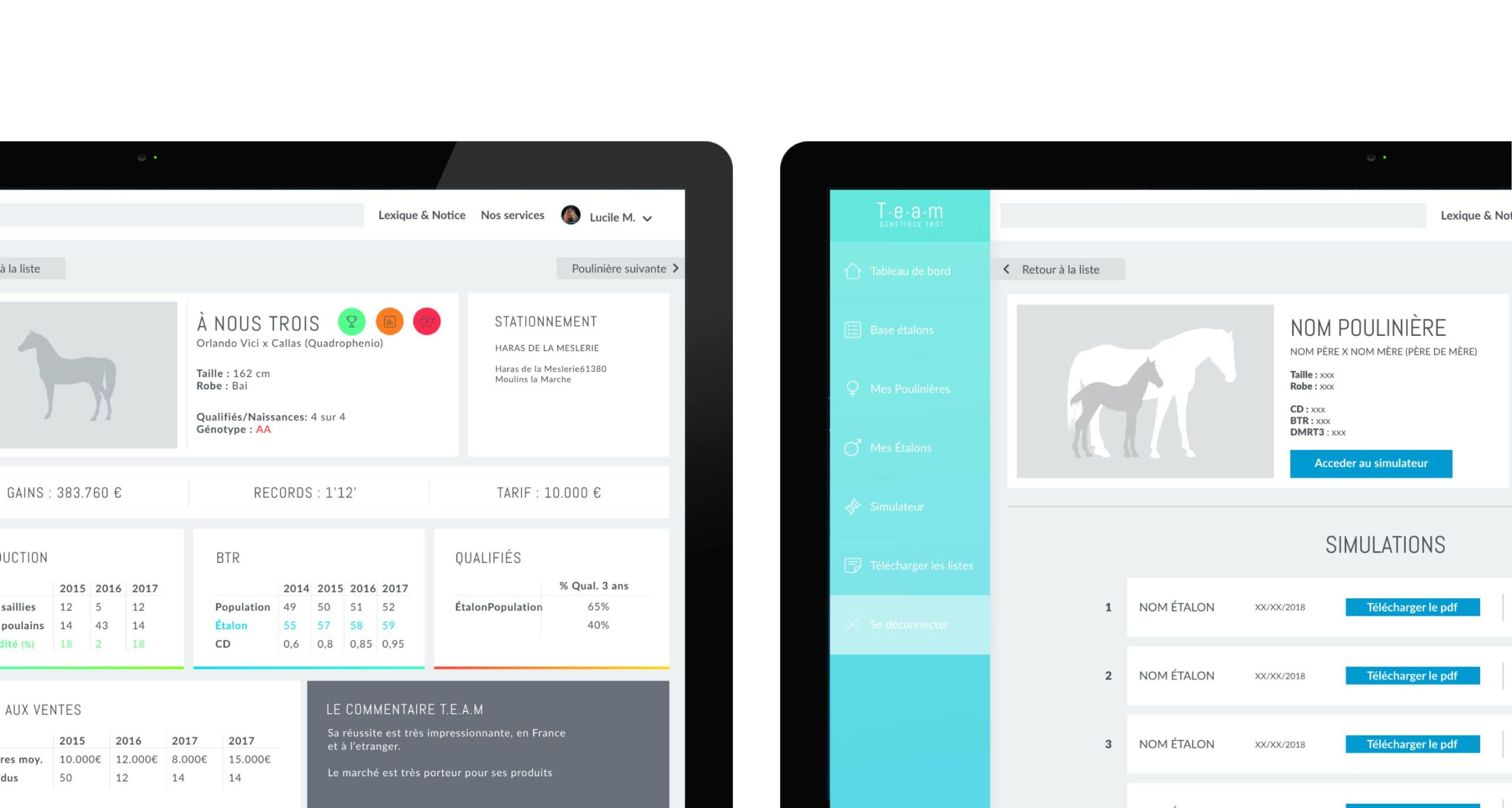 200323-site-team_Plan de travail 1 copie