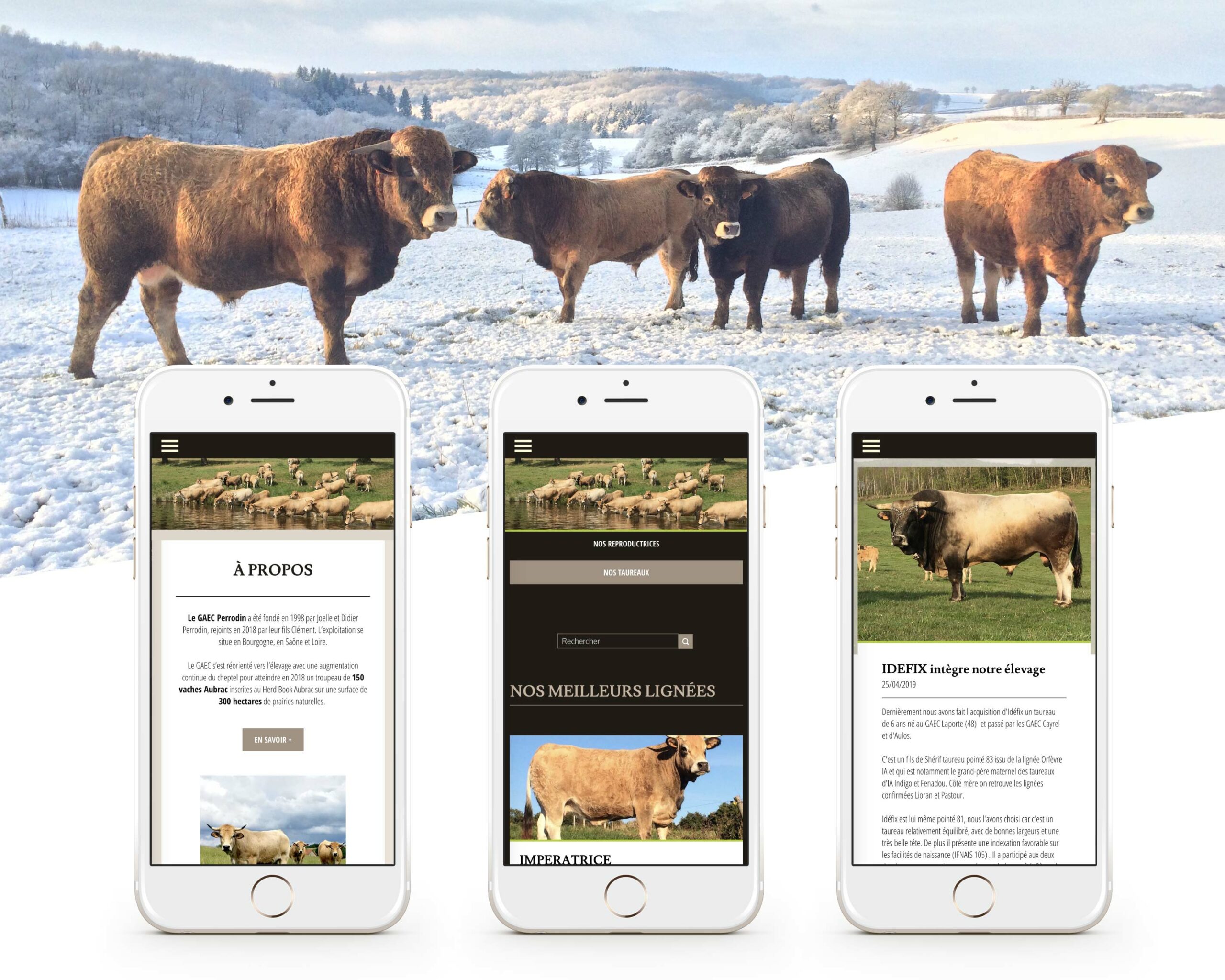 askforlucile-graphisme-site-internet-gaec-perrodin_Plan de travail 1 copie 2