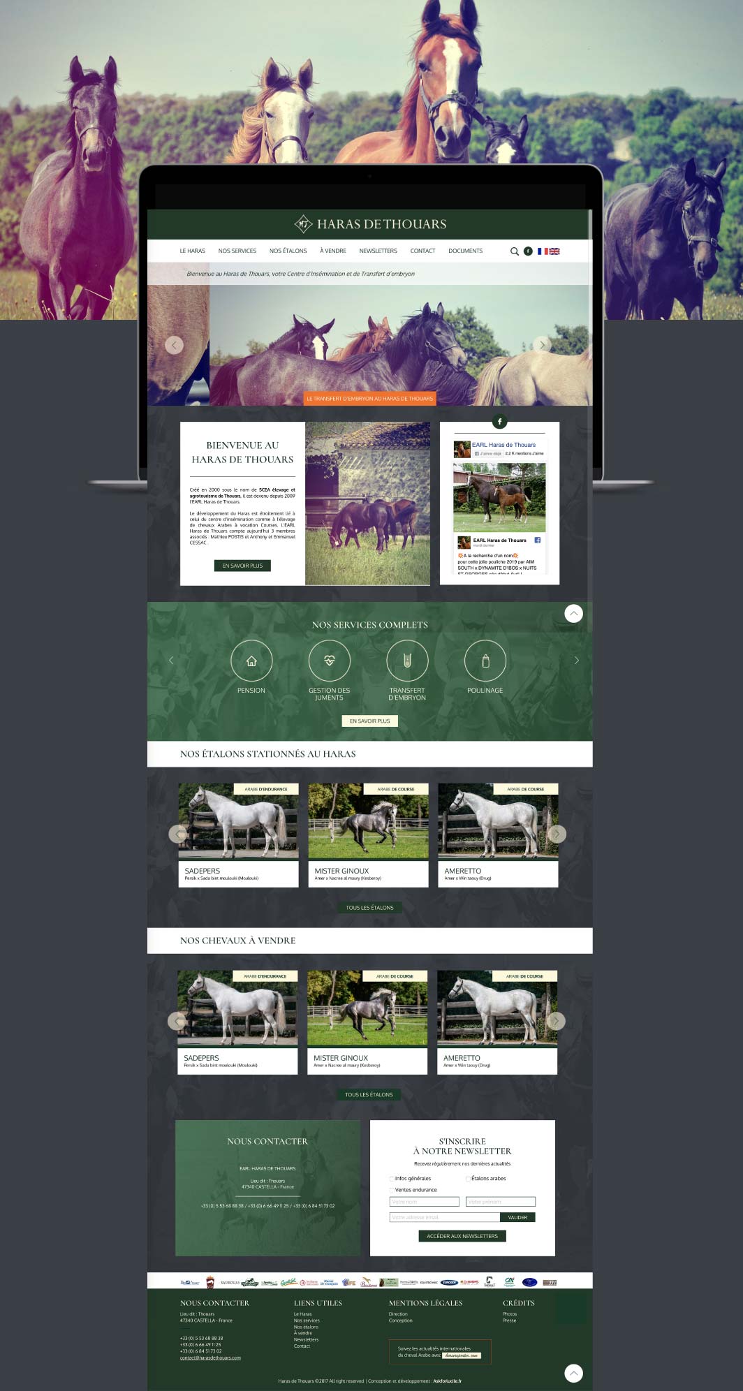 askforlucile-graphisme-site-internet-haras-de-thouars_Plan de travail 1 copie 3