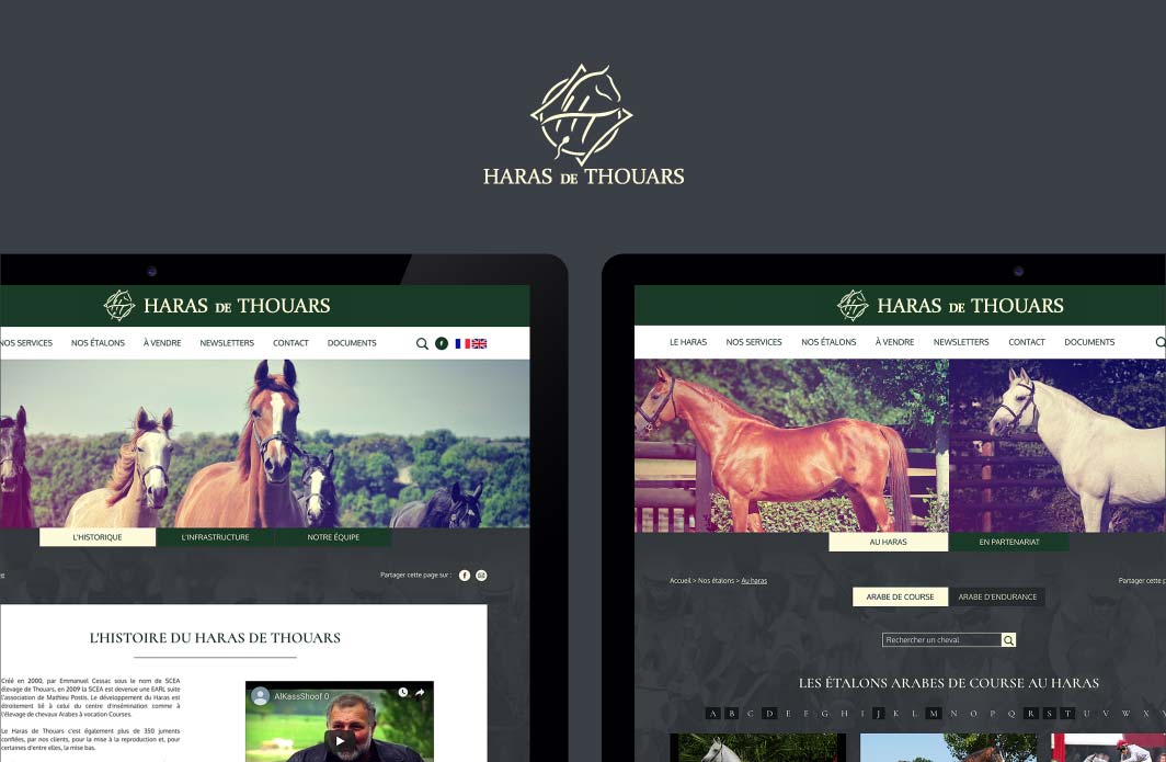 askforlucile-graphisme-site-internet-haras-de-thouars_Plan de travail 1 copie 4