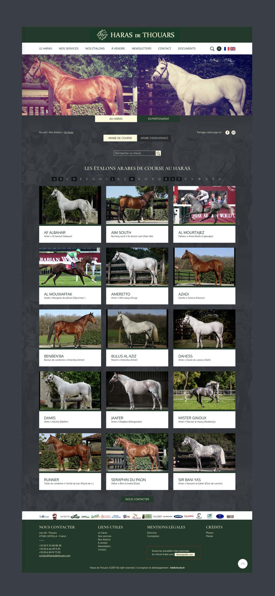 askforlucile-graphisme-site-internet-haras-de-thouars_Plan de travail 1 copie 6