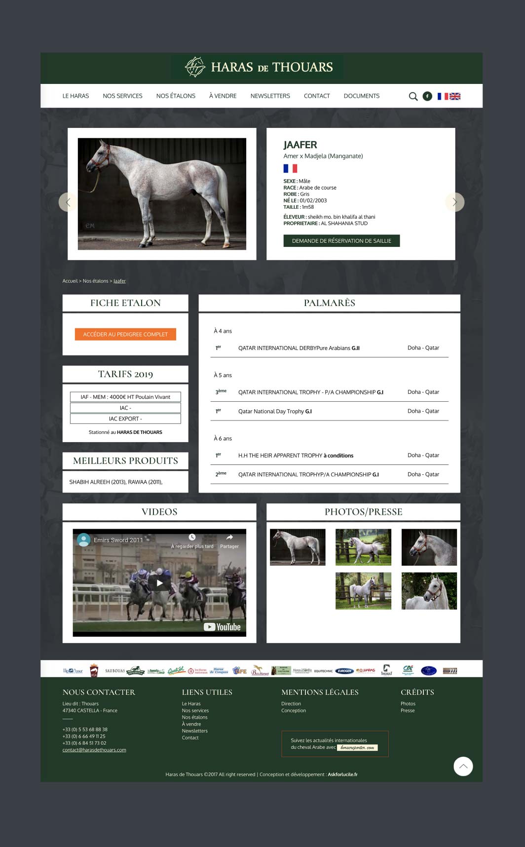 askforlucile-graphisme-site-internet-haras-de-thouars_Plan de travail 1 copie 7