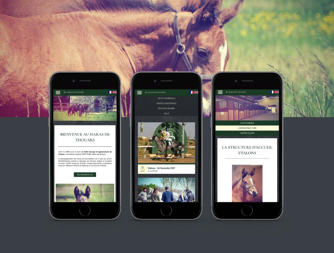 askforlucile-graphisme-site-internet-haras-de-thouars_Plan de travail 1 copie 8