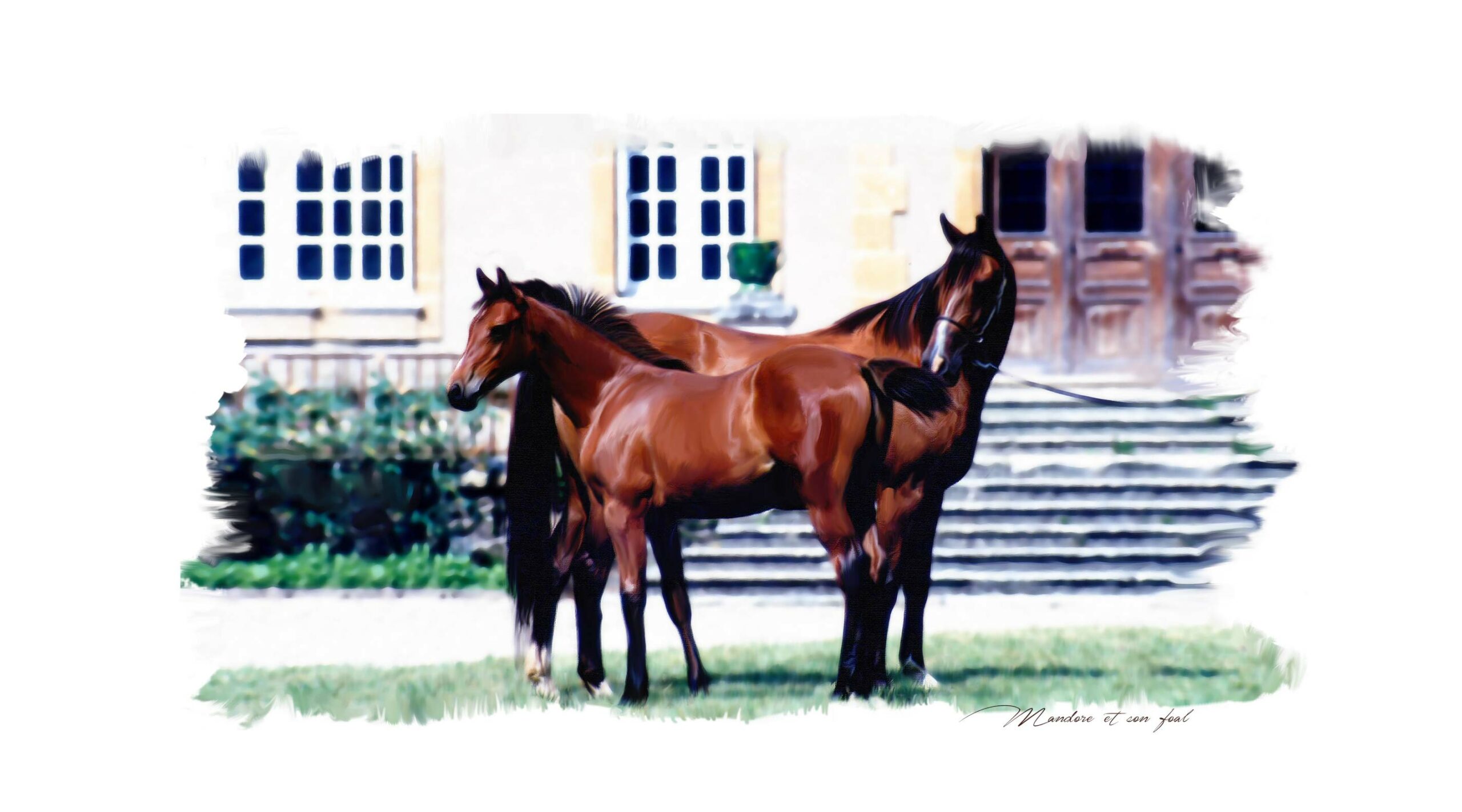 askforlucile-graphisme-site-internet-haras-mandore_Plan de travail 1 copie 2