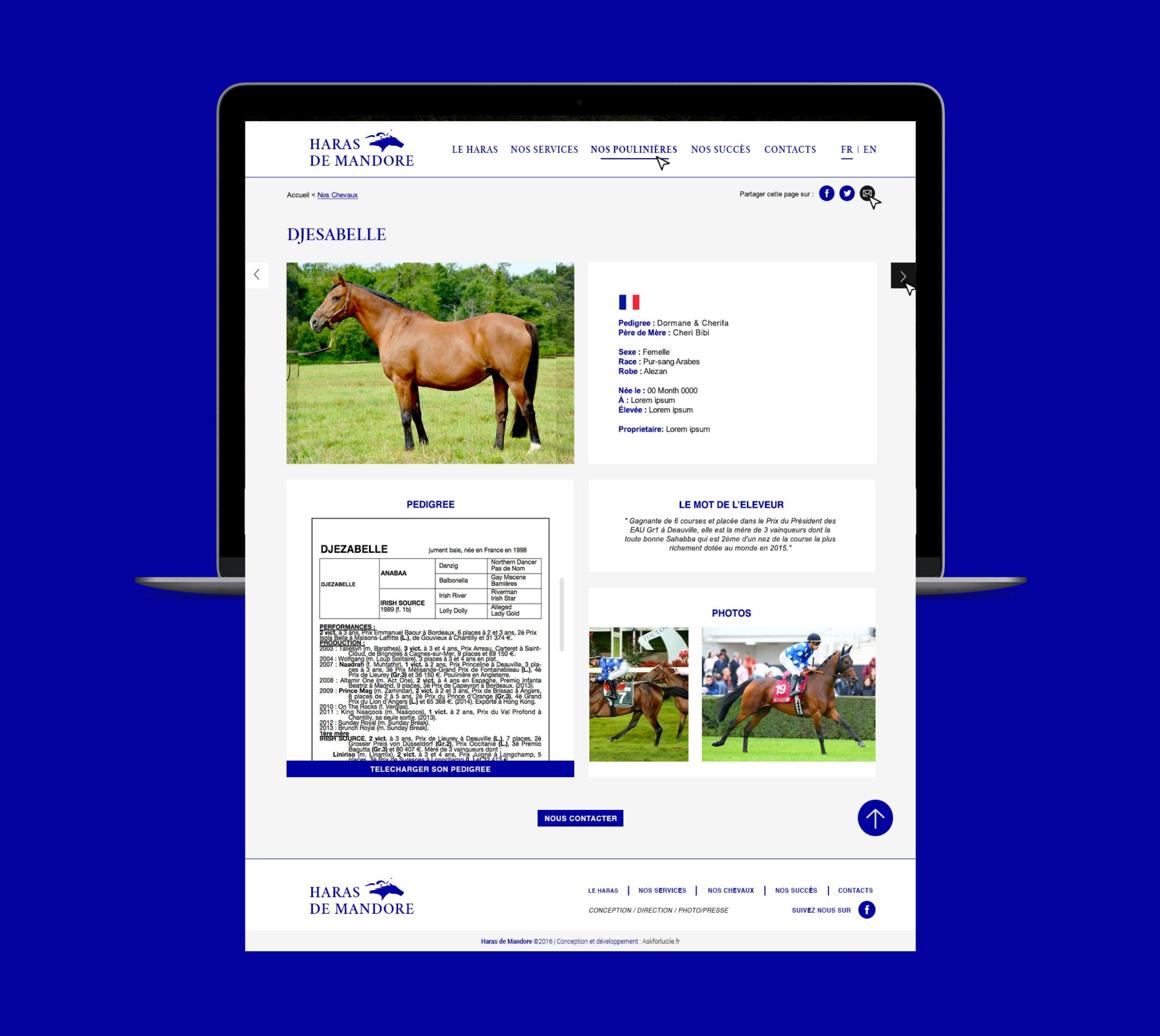 askforlucile-graphisme-site-internet-haras-mandore_Plan de travail 1 copie 3