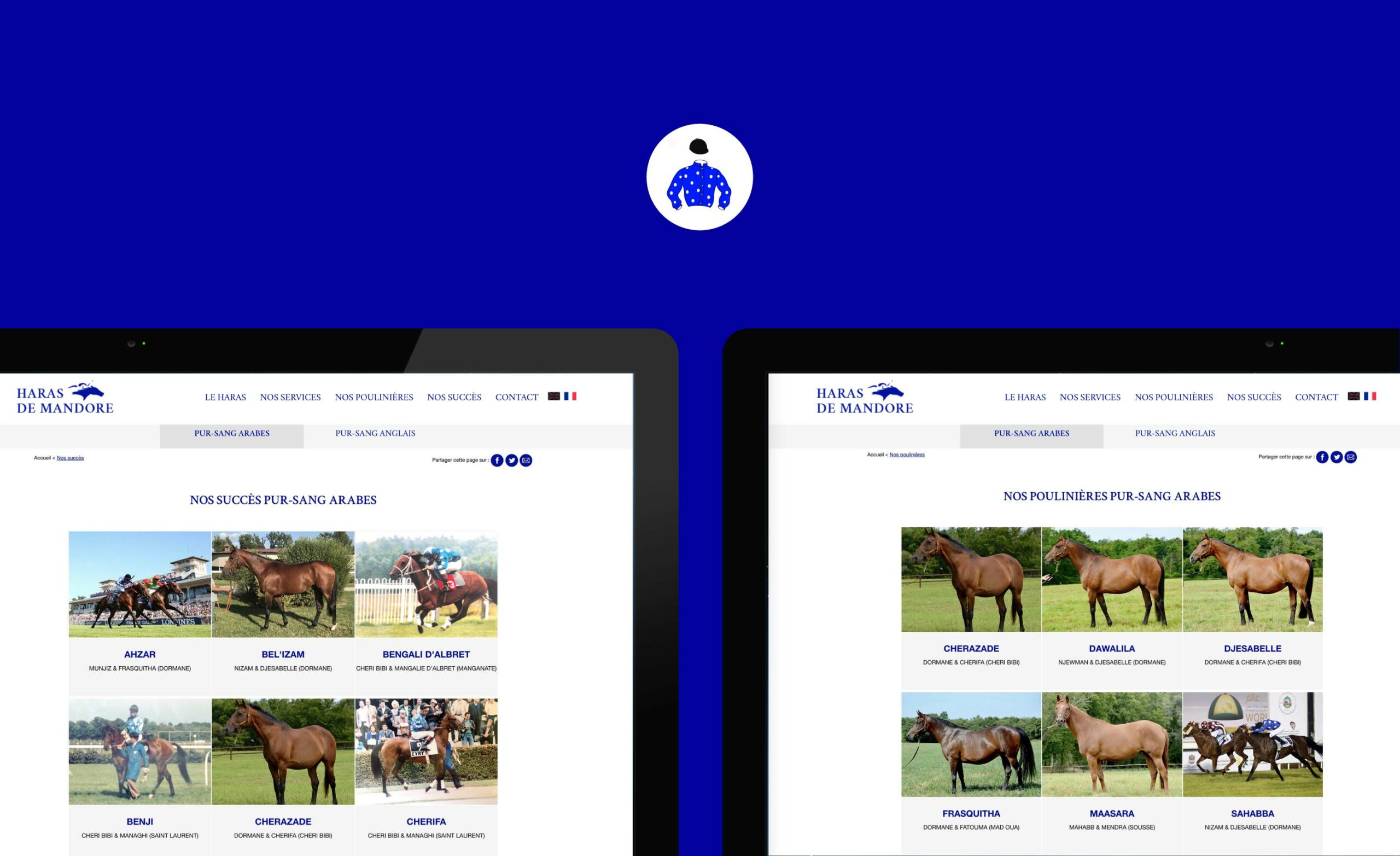 askforlucile-graphisme-site-internet-haras-mandore_Plan de travail 1 copie