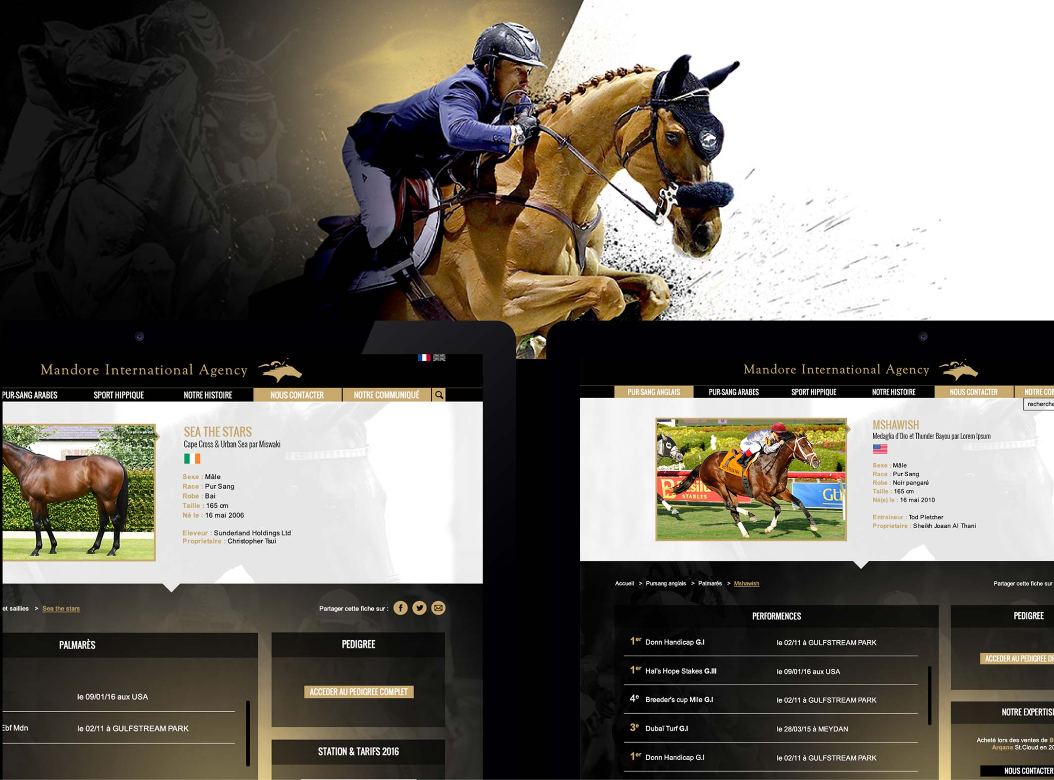 askforlucile-graphisme-site-internet-mandore-agency_Plan de travail 1 copie 4