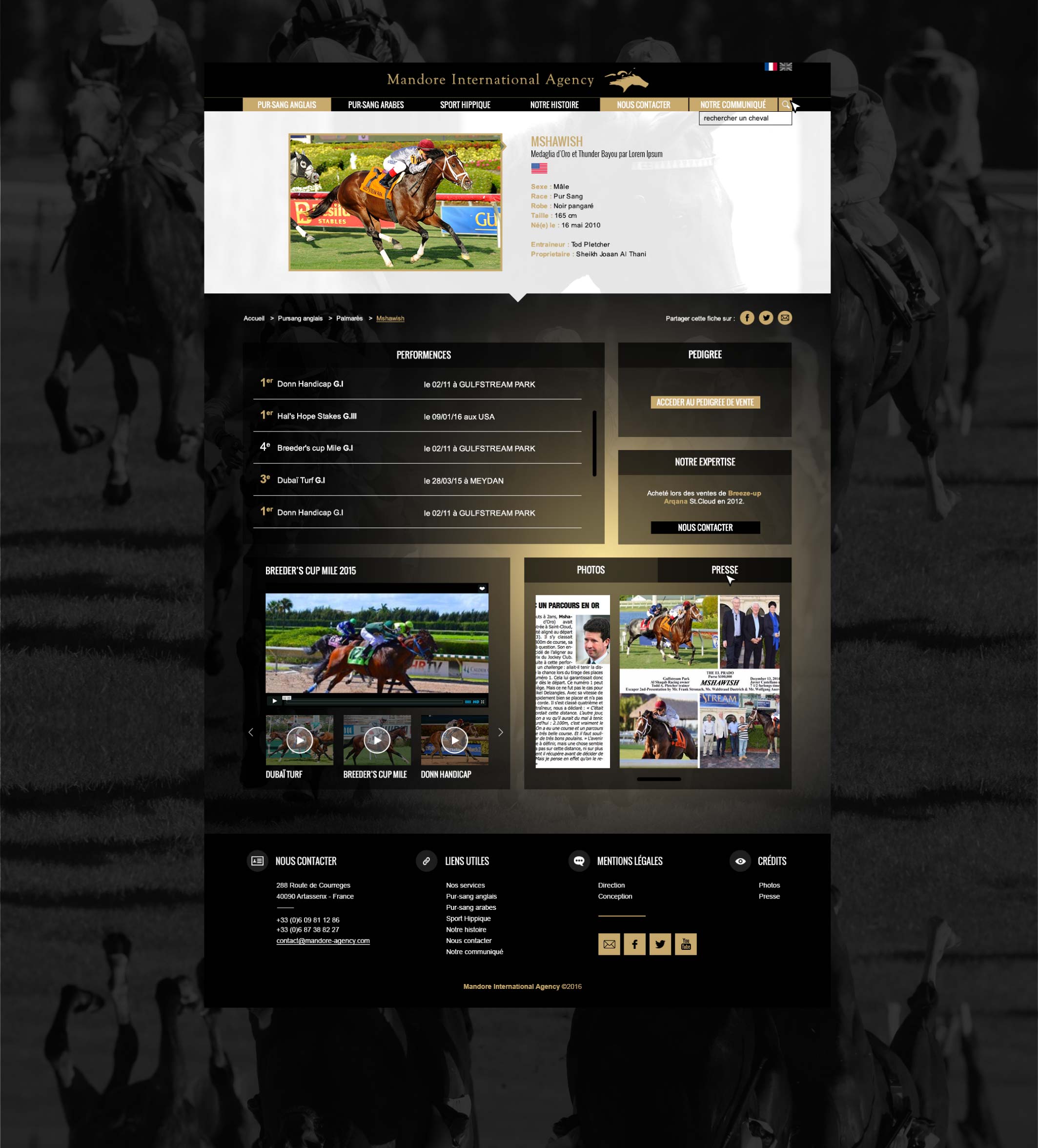 askforlucile-graphisme-site-internet-mandore-agency_Plan de travail 1 copie 6