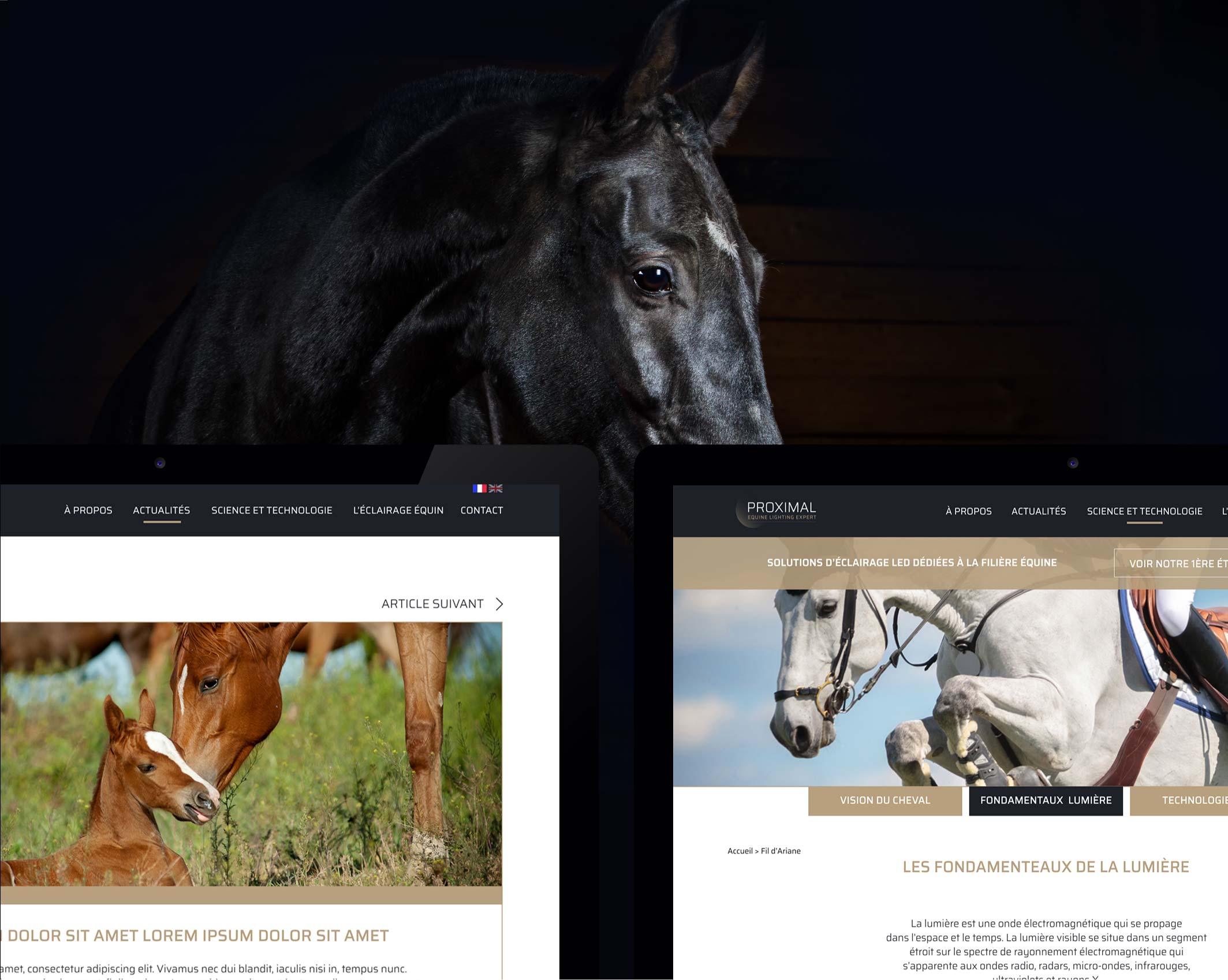 askforlucile-graphisme-site-internet-proximal_Plan de travail 1 copie 4