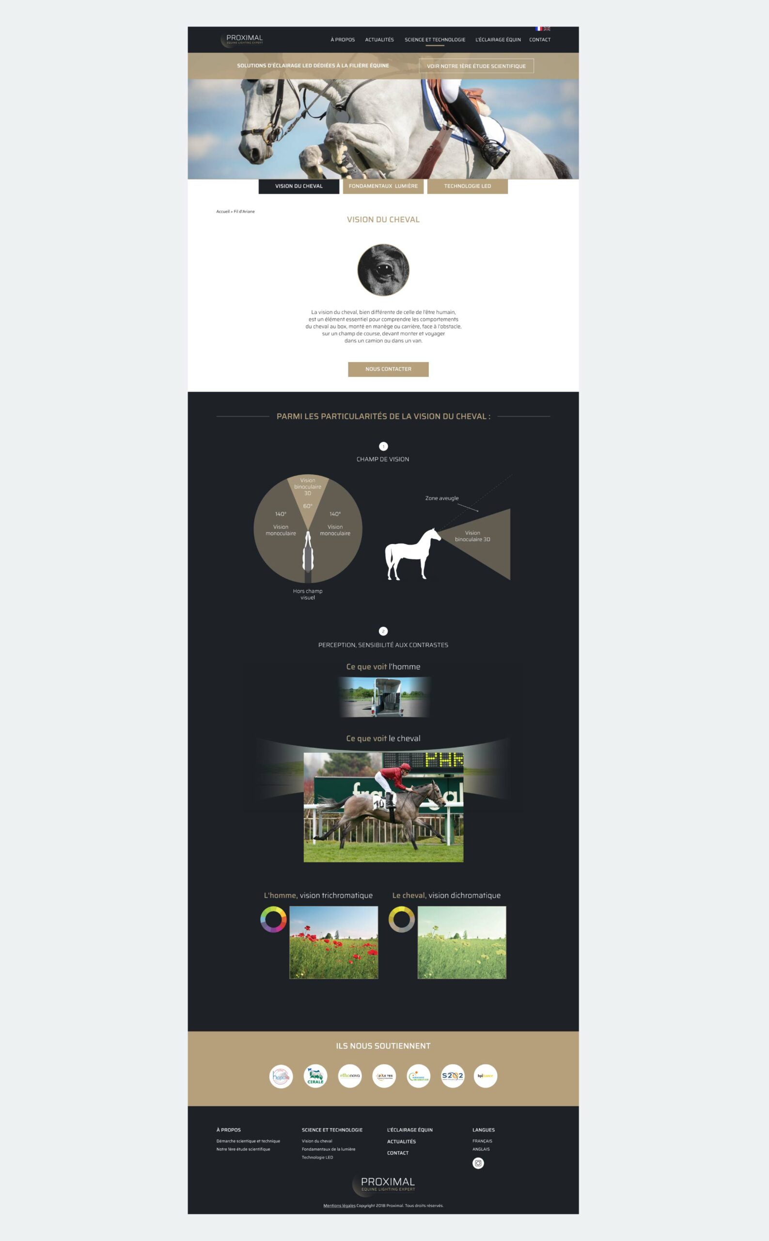 askforlucile-graphisme-site-internet-proximal_Plan de travail 1 copie 6